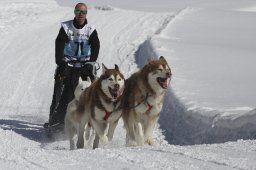 Kandersteg 2013